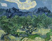 Vincent Van Gogh The Olive Trees Spain oil painting artist